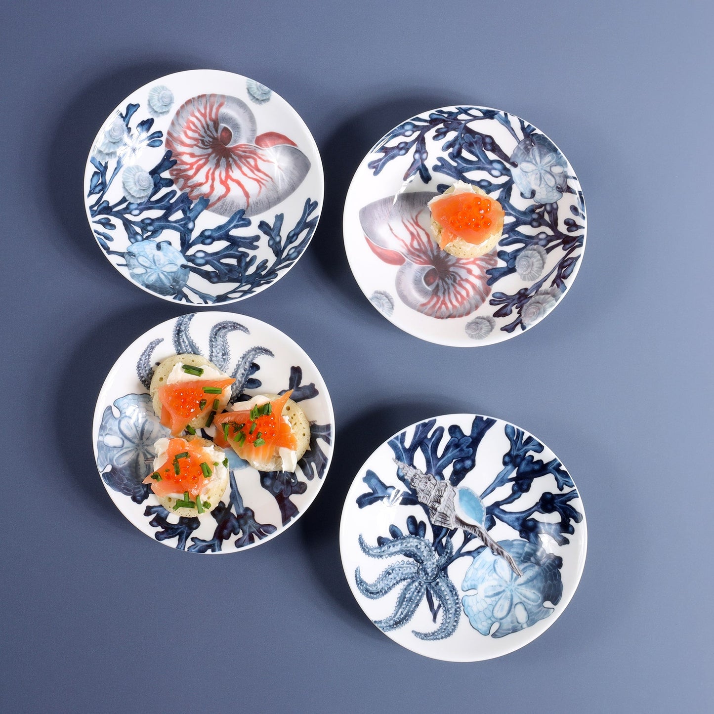 Beachcomber Nibbles Dish With Seashell Design