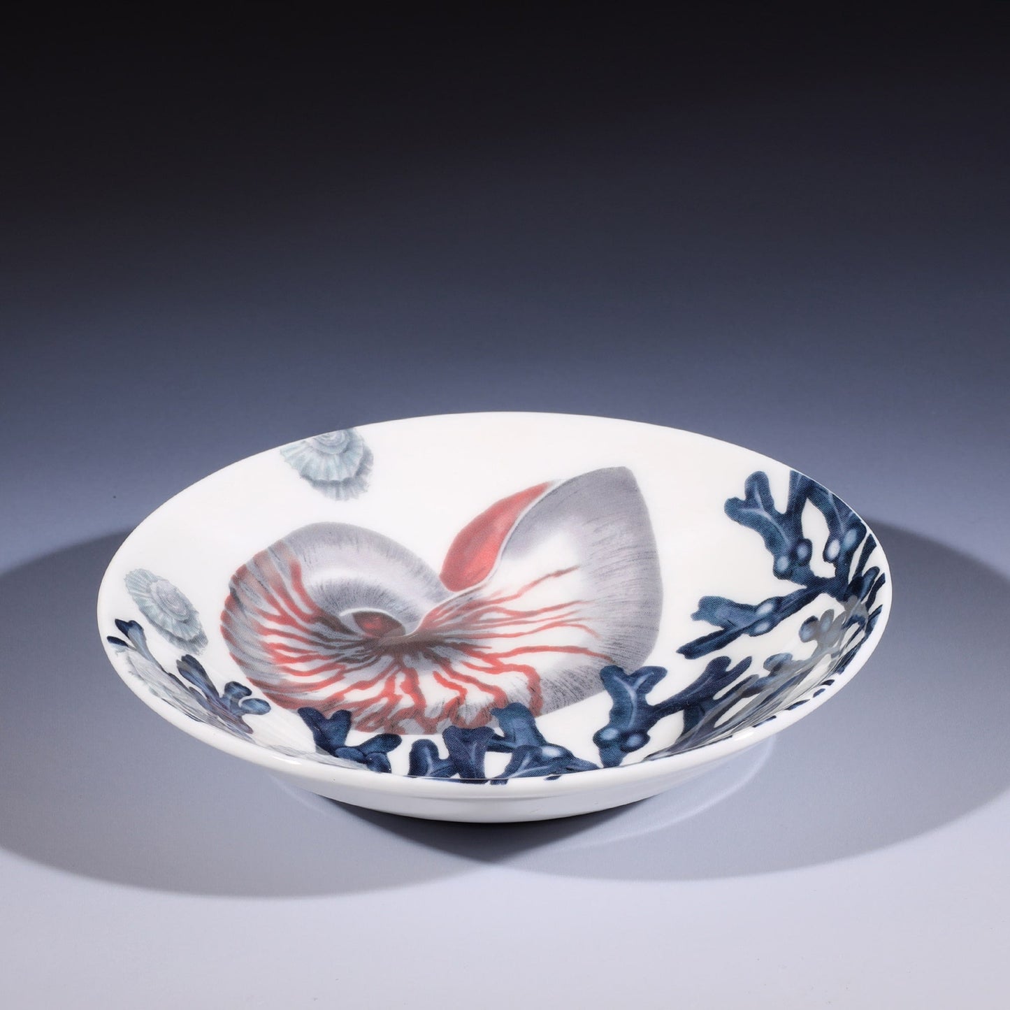 Beachcomber Nibbles Dish With Nautilus Design