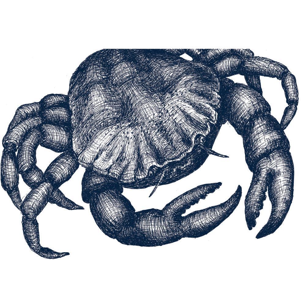 Crab Art Print In Blue On White In Three Sizes - A2, A3 And A4